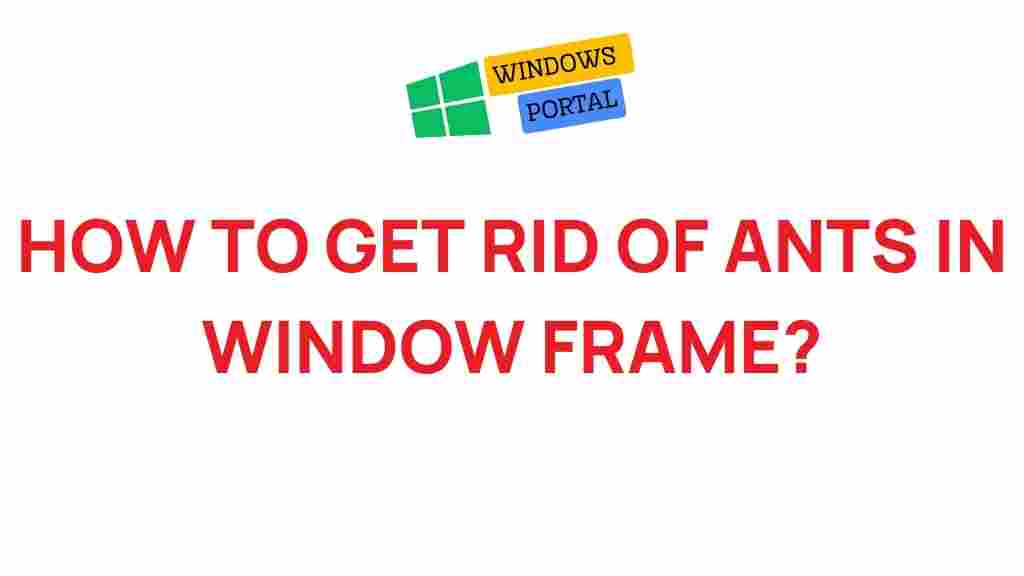 eliminate-ants-window-frame